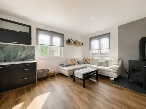 Prodej chaty, Týniště nad Orlicí, 52 m2