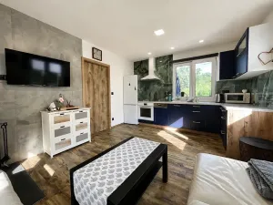 Prodej chaty, Týniště nad Orlicí, 52 m2