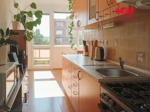 Prodej bytu 2+1, Ústí nad Labem - Severní Terasa, Jana Zajíce, 50 m2