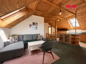 Prodej obchodního prostoru, Klenovice, 851 m2