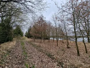Prodej podílu pozemku pro bydlení, Bělčice, 34980 m2