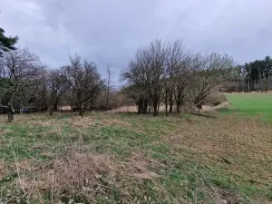 Prodej podílu pozemku pro bydlení, Bělčice, 34980 m2
