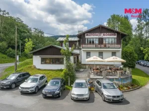 Prodej komerční nemovitosti, Plavy, 500 m2