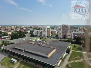 Prodej bytu 1+1, Praha - Kamýk, Pavlíkova, 47 m2