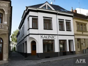 Pronájem bytu 2+kk, Uherský Brod, Kaunicova, 54 m2