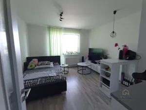 Pronájem bytu 1+kk, Plzeň - Bolevec, Studentská, 28 m2