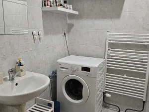 Pronájem bytu 1+kk, Český Těšín, Tovární, 40 m2