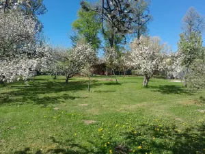 Prodej pozemku pro bydlení, Protivín, 1134 m2