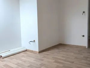 Prodej vícegeneračního domu, Běleč, Dukelská, 470 m2