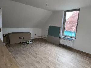 Prodej vícegeneračního domu, Běleč, Dukelská, 470 m2