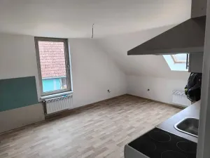 Prodej vícegeneračního domu, Běleč, Dukelská, 470 m2