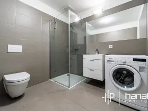 Pronájem bytu 1+kk, Olomouc, Dlouhá, 50 m2