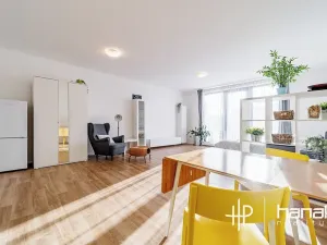 Pronájem bytu 1+kk, Olomouc, Dlouhá, 50 m2