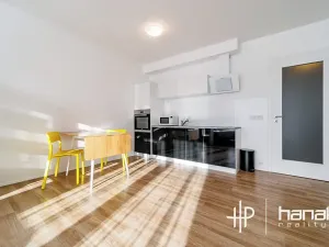 Pronájem bytu 1+kk, Olomouc, Dlouhá, 50 m2