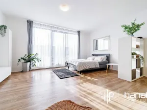 Pronájem bytu 1+kk, Olomouc, Dlouhá, 50 m2
