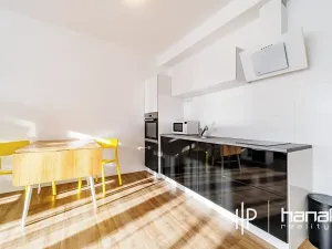 Pronájem bytu 1+kk, Olomouc, Dlouhá, 50 m2