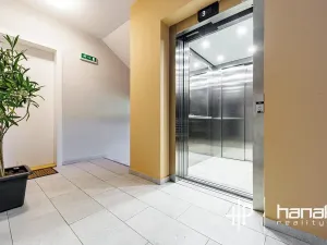 Pronájem bytu 1+kk, Olomouc, Dlouhá, 50 m2