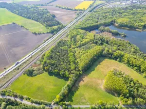 Prodej lesa, Srch - Pohránov, 12208 m2