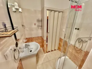 Pronájem bytu 1+kk, Kroměříž, Oskol, 27 m2