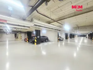 Pronájem bytu 4+kk, Praha, Nebřenická, 102 m2