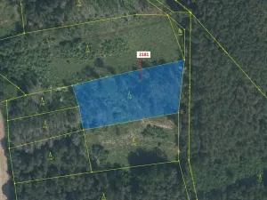 Dražba lesa, Louňovice pod Blaníkem, 4236 m2