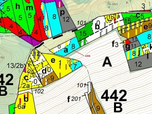 Dražba lesa, Louňovice pod Blaníkem, 4560 m2