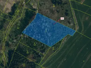 Dražba lesa, Puklice, 4900 m2