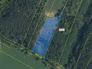 Dražba lesa, Přílepy, 7060 m2