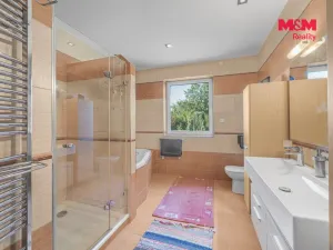 Prodej rodinného domu, Přerov nad Labem, 520 m2