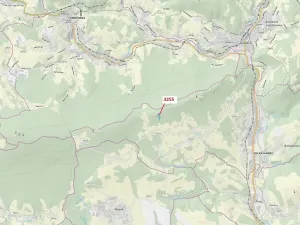 Dražba lesa, Velké Hamry, 6125 m2