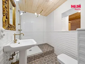 Prodej rodinného domu, Červená Voda - Mlýnický Dvůr, 223 m2