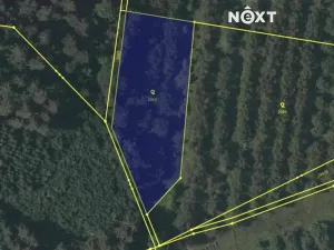 Prodej vícegeneračního domu, Lhenice, Netolická, 335 m2