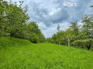 Prodej sadu/vinice, Lhenice, 3223 m2