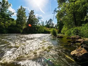 Prodej chalupy, Střelice, 89 m2