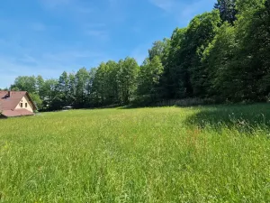 Prodej pozemku pro bydlení, Hrubá Skála, 1738 m2