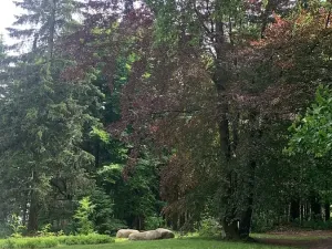 Prodej pozemku pro bydlení, Mařenice, 1610 m2