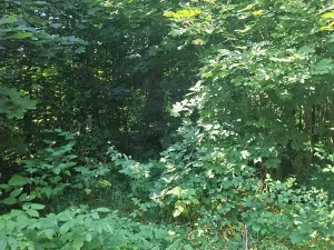 Prodej rodinného domu, Kozlovice, 75 m2
