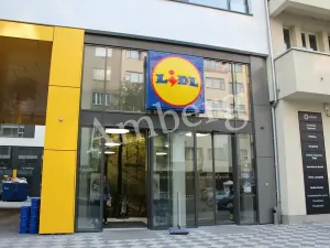 Pronájem garážového stání, Praha - Karlín, Sokolovská, 14 m2