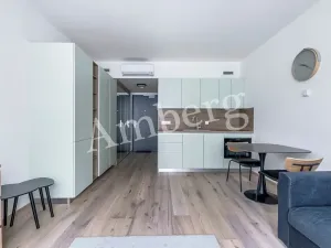 Pronájem bytu 1+kk, Praha - Karlín, Sokolovská, 28 m2