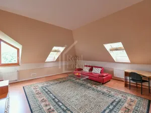 Pronájem rodinného domu, Praha - Čimice, Na průhonu, 310 m2