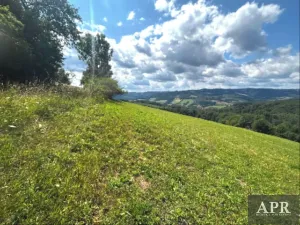 Prodej pozemku pro bydlení, Žítková, 6433 m2