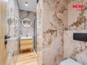 Prodej bytu 3+kk, Plzeň - Lobzy, Partyzánská, 60 m2