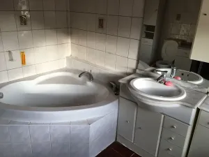 Pronájem vily, Bělušice, 207 m2