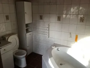 Pronájem vily, Bělušice, 207 m2