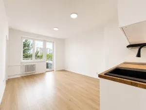 Prodej bytu 2+kk, Praha - Vršovice, U Slavie, 38 m2