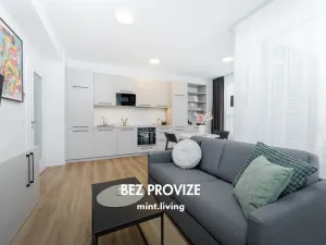Pronájem bytu 2+kk, Praha - Vysočany, Odkolkova, 49 m2