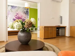 Pronájem bytu 2+1, Praha, Křižíkova, 80 m2