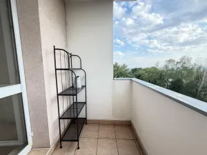 Prodej bytu 3+1, Brno - Slatina, Mikulčická, 75 m2