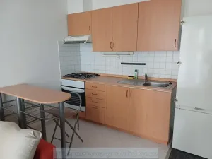 Pronájem bytu 1+kk, Praha - Sedlec, 25 m2