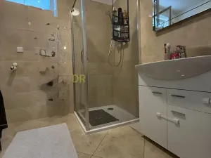 Prodej vícegeneračního domu, Brno, 164 m2